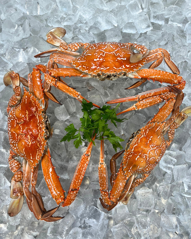 Cooked Sand Crabs 1KG-1.2KG
