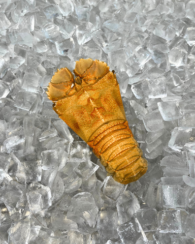 Moreton Bay Bugs 200-250g