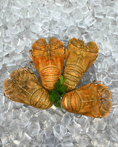 Moreton Bay Bugs 1KG-1.2KG