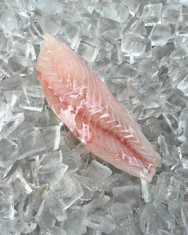 Rock Cod Filet Products – Page 2 – Collingwood Catch Seafood
