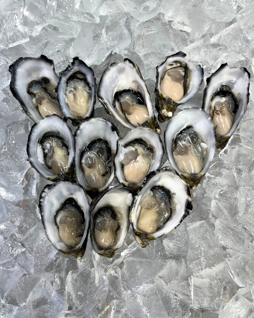 1Doz Pacific Oysters - Add On Only